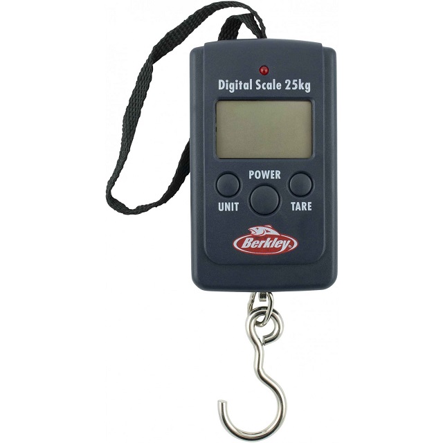 Digital scales recommendations