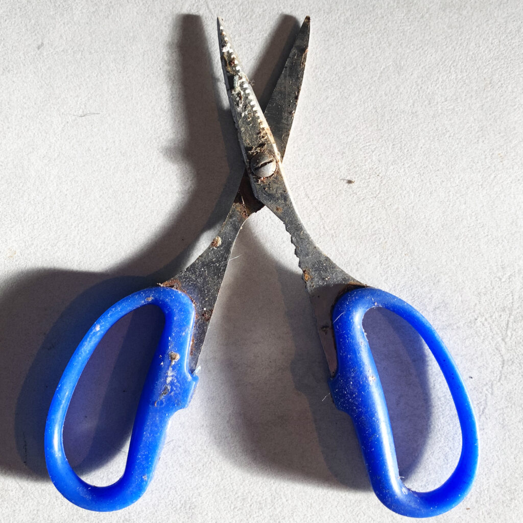 Leeda Large Bait Scissors SeriousFishing.com
